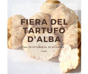 Alba truffle fair from 09 October to 05 December 2021 - Hotel Terre Dei Salici